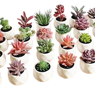 DEKORATIVNO CVIJEĆE 11" AS20011638