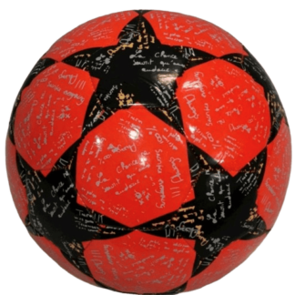 Lopta AS20014278-203660