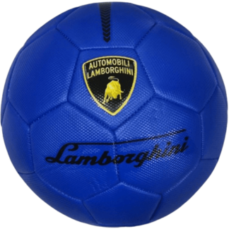 Lopta AS20014283-203665